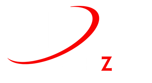 punizen-Logo